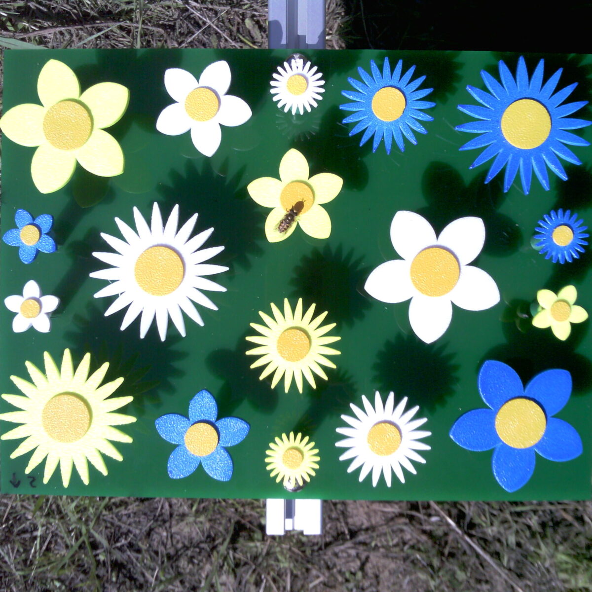 En blomsterattrap med en bi på
