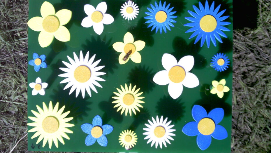 En blomsterattrap med en bi på